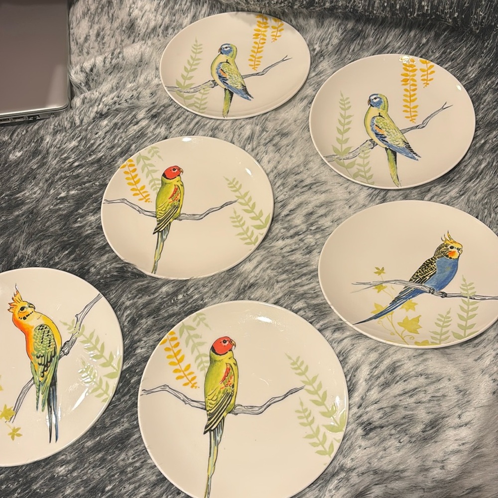 Grace x Anthropologie Set 6 Ceramic Parakeet Themed Salad Dessert Plate
